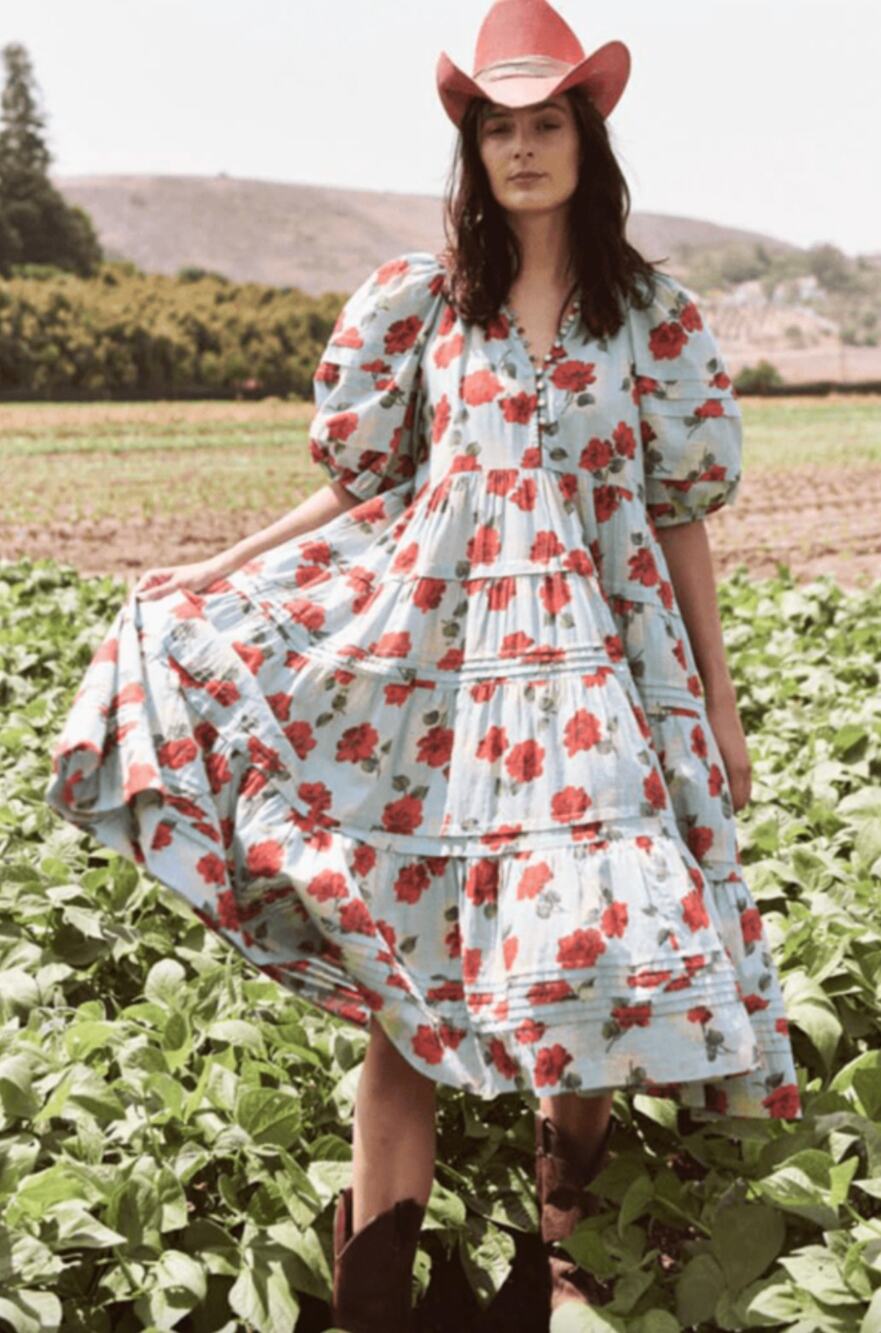 The Great Pleated Ravine Dress Western Rose Floral Peasant Cottage 1/Small